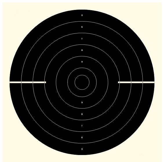 pistola automatica 25mt.jpg